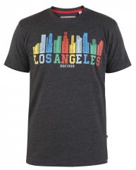 D555 Hemford Printed T-Shirt
