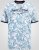 D555 Shoreham AO T-särk Venice Beach Pildiga Sinine - T-särgid - Suured T-särgid 2XL – 14XL