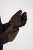 JP1880 811683 Nahkkindad Pruun - Kindad - 