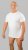 20 Nodi Mezzogiorno Sports T-Shirt White - T-särgid - Suured T-särgid 2XL – 14XL