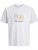 Jack & Jones Calma Crew Neck T-Shirt Gray Dawn - T-särgid - Suured T-särgid 2XL – 14XL