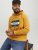 Jack & Jones Codyy Hoodie Yellow - Sviitrid ja dressipluusid - Meeste suured kapuutsiga jakid suurustes 2XL – 14XL
