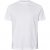 North Latitude T-Shirt 2-Pack White - T-särgid - Suured T-särgid 2XL – 14XL