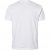 North Latitude T-Shirt 2-Pack White - T-särgid - Suured T-särgid 2XL – 14XL