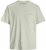 Jack & Jones Almeria Back Print T-Shirt Light Green - T-särgid - Suured T-särgid 2XL – 14XL