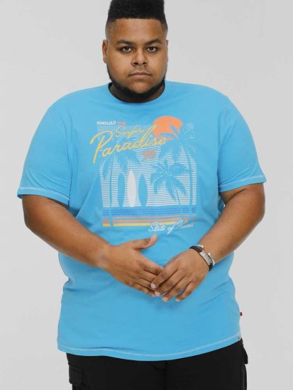 D555 AARON Surfers Paradise Printed Crew Neck T-Shirt Turquoise - T-särgid - Suured T-särgid 2XL – 14XL