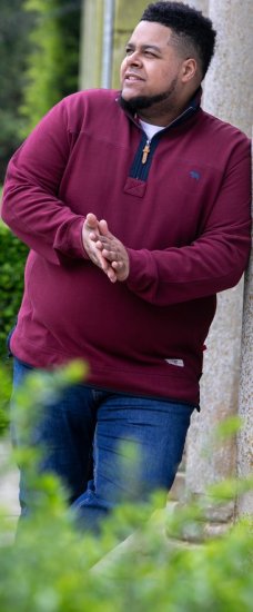 D555 HIRALDO Quarter Neck Pique Fleece Sweatshirt With Chest Embroidery Red - Sviitrid ja dressipluusid - Meeste suured kapuutsiga jakid suurustes 2XL – 14XL