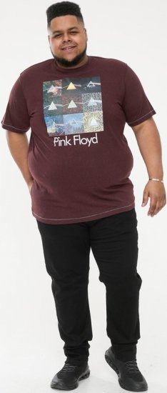 D555 DIVISION Official Pink Floyd Printed T-Shirt Burgundy - T-särgid - Suured T-särgid 2XL – 14XL