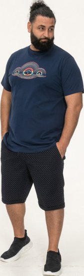 D555 Cheltenham Record With Reflection Printed T-shirt French Navy - T-särgid - Suured T-särgid 2XL – 14XL