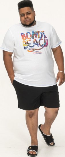 D555 SYDNEY Multi Coloured Bondi Beach Printed T-Shirt White - T-särgid - Suured T-särgid 2XL – 14XL