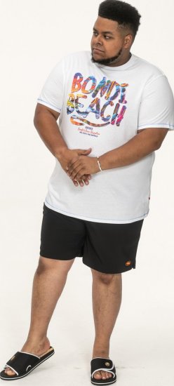 D555 SYDNEY Multi Coloured Bondi Beach Printed T-Shirt White - T-särgid - Suured T-särgid 2XL – 14XL