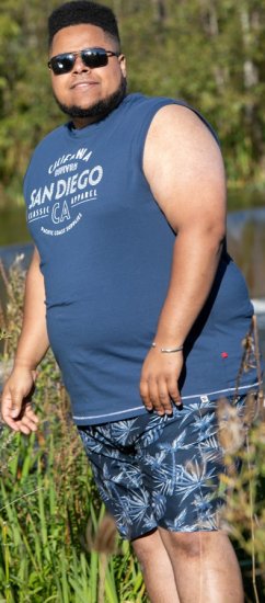 D555 Havant San Diego Printed Sleeveless T-Shirt French Navy - T-särgid - Suured T-särgid 2XL – 14XL