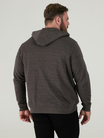 D555 Cantor Dressipluus Kapuutsiga Hall - Sviitrid ja dressipluusid - Meeste suured kapuutsiga jakid suurustes 2XL – 14XL