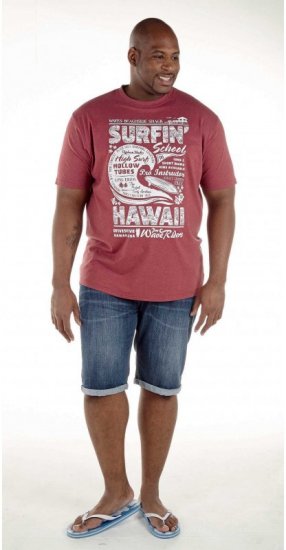 D555 Francis Burgundy T-shirt - T-särgid - Suured T-särgid 2XL – 14XL