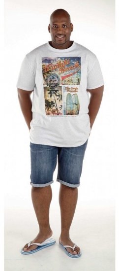 D555 Winthorp T-shirt White - T-särgid - Suured T-särgid 2XL – 14XL