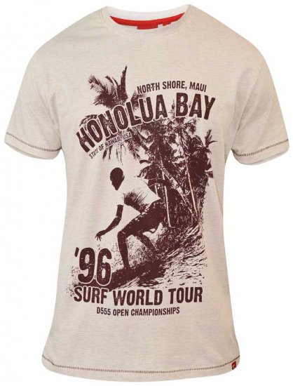 D555 CLAYTON Honolua Bay T-shirt White Marl - T-särgid - Suured T-särgid 2XL – 14XL