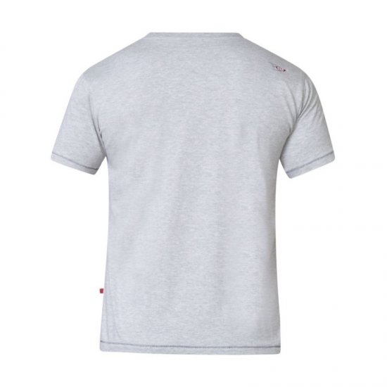 D555 Phillip T-shirt Grey - T-särgid - Suured T-särgid 2XL – 14XL