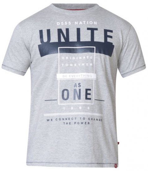 D555 Phillip T-shirt Grey - T-särgid - Suured T-särgid 2XL – 14XL