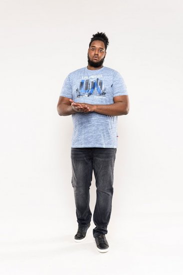 D555 Hobart LA Printed T-Shirt Blue - T-särgid - Suured T-särgid 2XL – 14XL