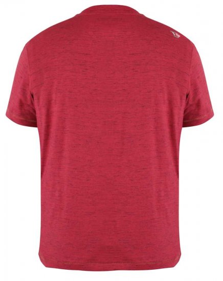 D555 Lettaford Printed T-shirt - T-särgid - Suured T-särgid 2XL – 14XL