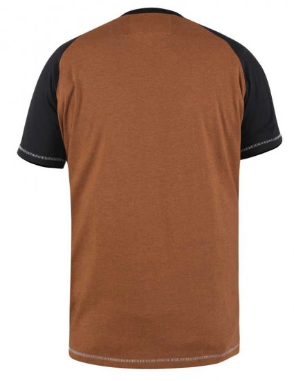 D555 Charmouth Raglan Sleeve Printed T-Shirt - T-särgid - Suured T-särgid 2XL – 14XL