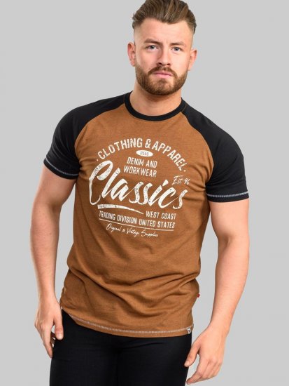 D555 Charmouth Raglan Sleeve Printed T-Shirt - T-särgid - Suured T-särgid 2XL – 14XL