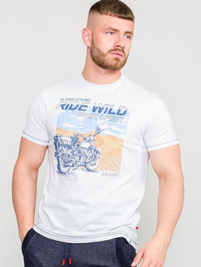D555 LANGDON Printed T-Shirt - T-särgid - Suured T-särgid 2XL – 14XL