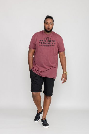 D555 LINTON Printed T-Shirt - T-särgid - Suured T-särgid 2XL – 14XL