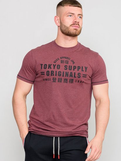 D555 LINTON Printed T-Shirt - T-särgid - Suured T-särgid 2XL – 14XL