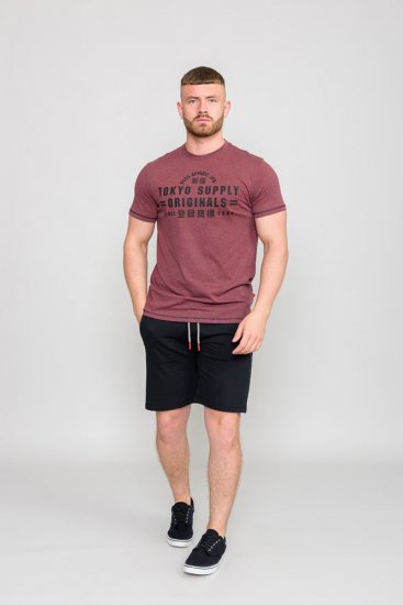 D555 LINTON Printed T-Shirt - T-särgid - Suured T-särgid 2XL – 14XL