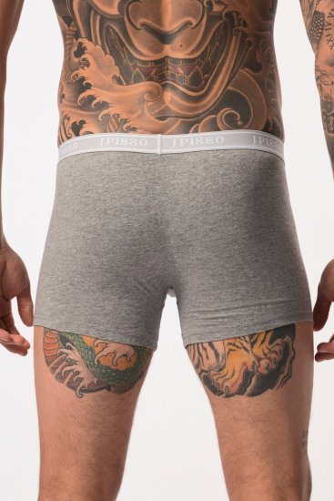 JP1880 Boxershorts Flexnamic OEKO-TEX Mid 2-Pack Grey/Off-White - Aluspesu ja ujumisriided - Aluspesu 2XL-8XL