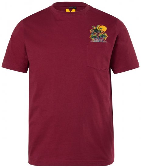 Men+ 219 T-särk Palmid Vaskpruun - T-särgid - Suured T-särgid 2XL – 14XL