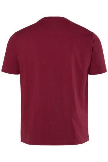 Men+ 219 T-särk Palmid Vaskpruun - T-särgid - Suured T-särgid 2XL – 14XL