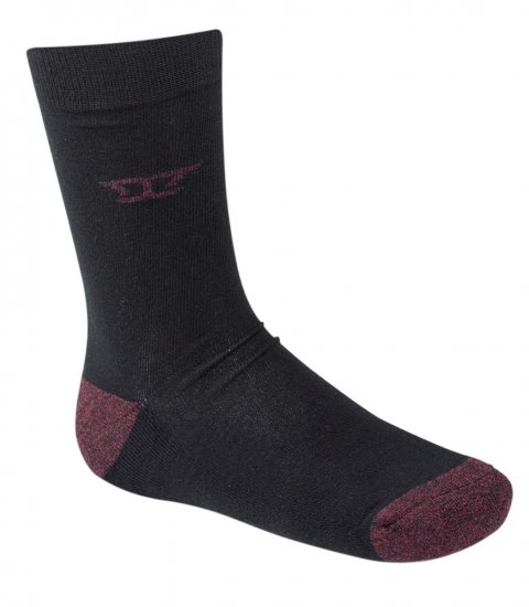 D555 Eden Cotton Rich Cushioned Sole Socks 2-Pack - Aluspesu ja ujumisriided - Aluspesu 2XL-8XL