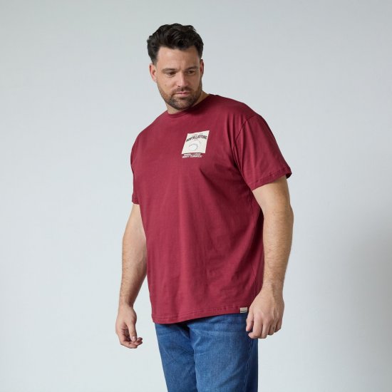 North Latitude T-Shirt With Print Punane - T-särgid - Suured T-särgid 2XL – 14XL