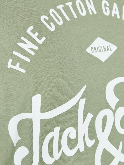 Jack & Jones JJERAFA TEE Light Green - T-särgid - Suured T-särgid 2XL – 14XL