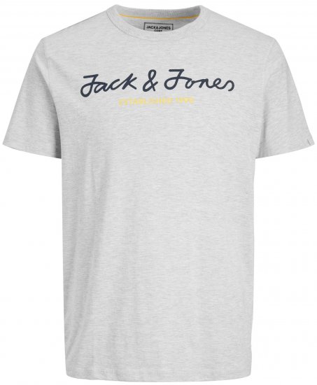 Jack & Jones JCOBERG UPSCALED TEE Grey - T-särgid - Suured T-särgid 2XL – 14XL