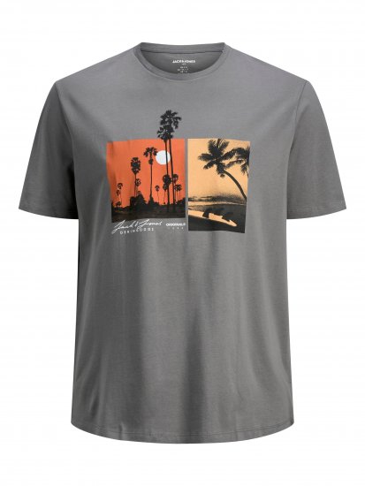 Jack & Jones Rocto T-shirt Sedona sage - T-särgid - Suured T-särgid 2XL – 14XL
