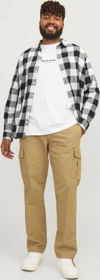 Jack & Jones Gingham L/S Shirt Whisper White - Särgid - Meeste suured särgid 2XL – 8XL