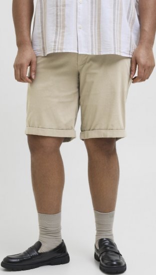 Jack & Jones Dave Chino Shorts Beige - Lühikesed püksid - Lühikesed Püksid suured suurused: W40-W60