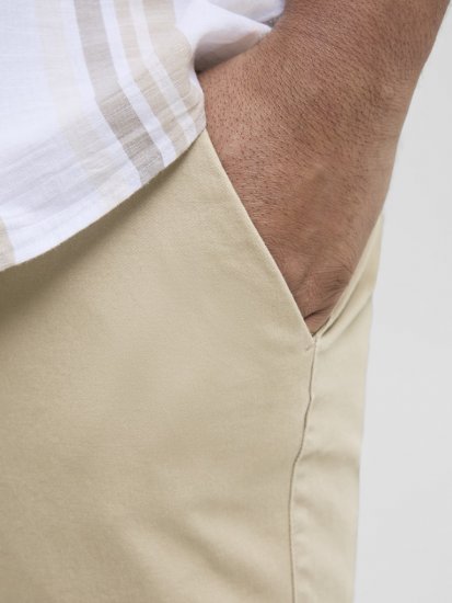 Jack & Jones Dave Chino Shorts Beige - Lühikesed püksid - Lühikesed Püksid suured suurused: W40-W60