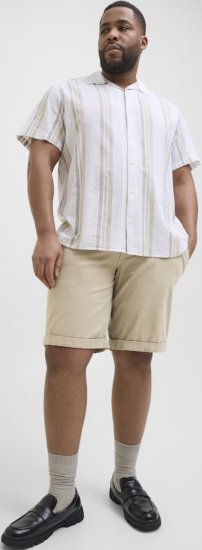 Jack & Jones Dave Chino Shorts Beige - Lühikesed püksid - Lühikesed Püksid suured suurused: W40-W60