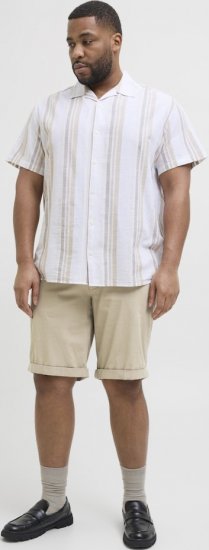 Jack & Jones Dave Chino Shorts Beige - Lühikesed püksid - Lühikesed Püksid suured suurused: W40-W60