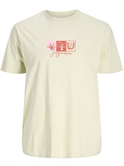 Jack & Jones Canggu Crew Neck T-Shirt Celadon Tint - T-särgid - Suured T-särgid 2XL – 14XL