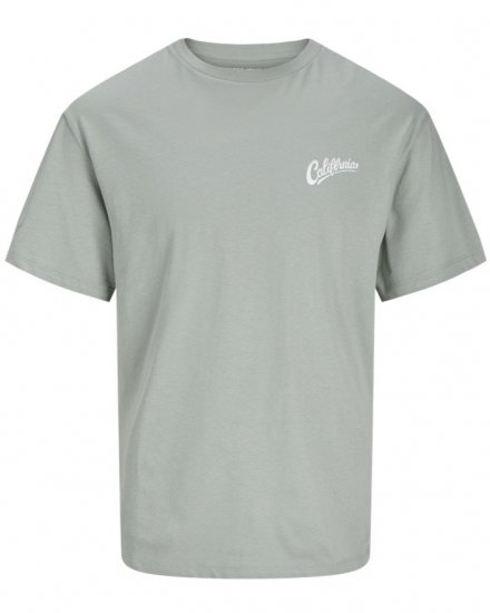 Jack & Jones Zekiel Crew Neck T-Shirt Iceberg Green - T-särgid - Suured T-särgid 2XL – 14XL
