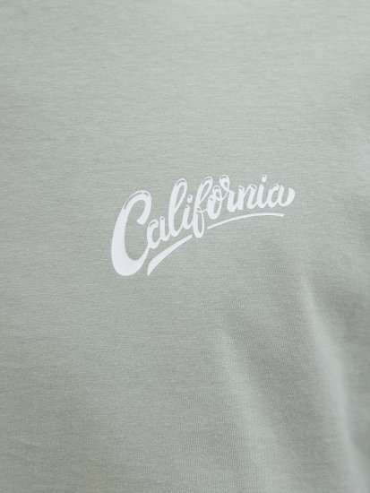 Jack & Jones Zekiel Crew Neck T-Shirt Iceberg Green - T-särgid - Suured T-särgid 2XL – 14XL