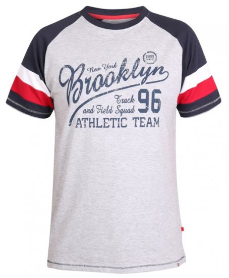 D555 Jones T-shirt Grey - T-särgid - Suured T-särgid 2XL – 14XL