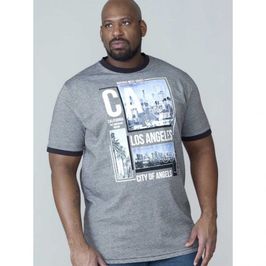 D555 Howie Fine Stripe T-shirt Grey - T-särgid - Suured T-särgid 2XL – 14XL