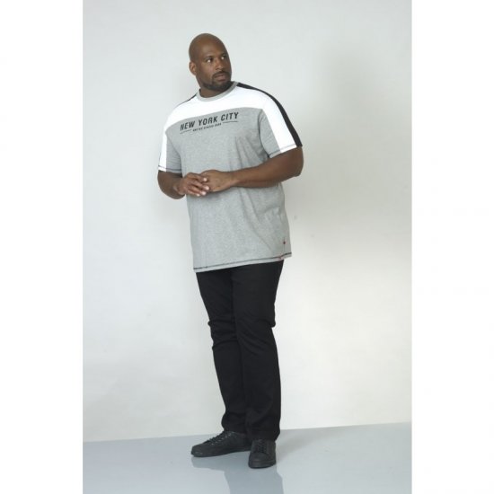 D555 Alvester T-shirt Grey - T-särgid - Suured T-särgid 2XL – 14XL