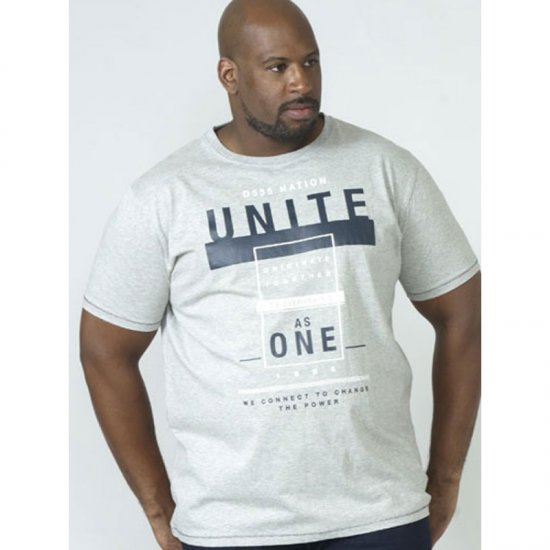 D555 Phillip T-shirt Grey - T-särgid - Suured T-särgid 2XL – 14XL